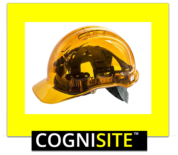 Cognisite